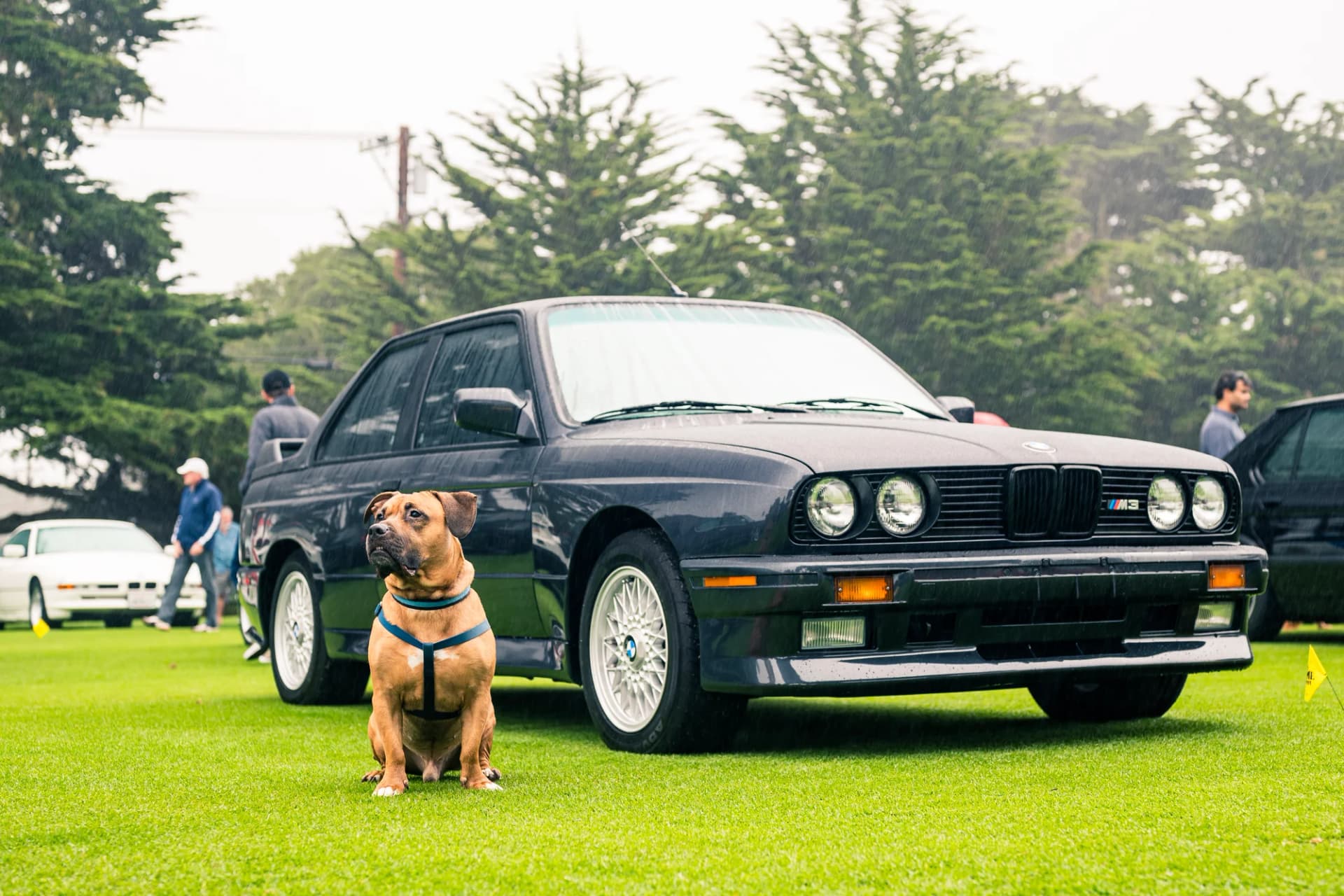 Legends of the Autobahn 2026: BMW Collection - image 27