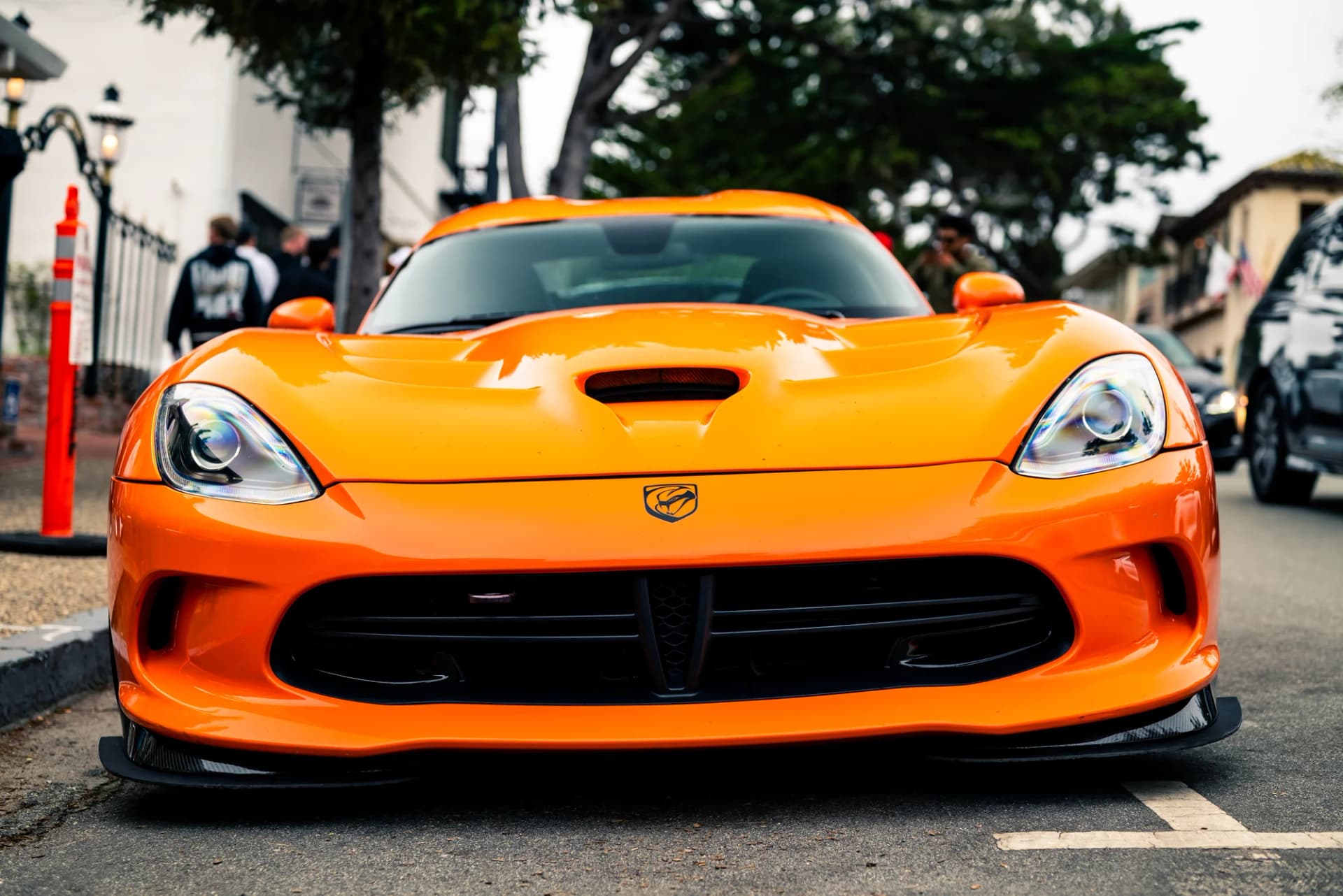Viper - image 5