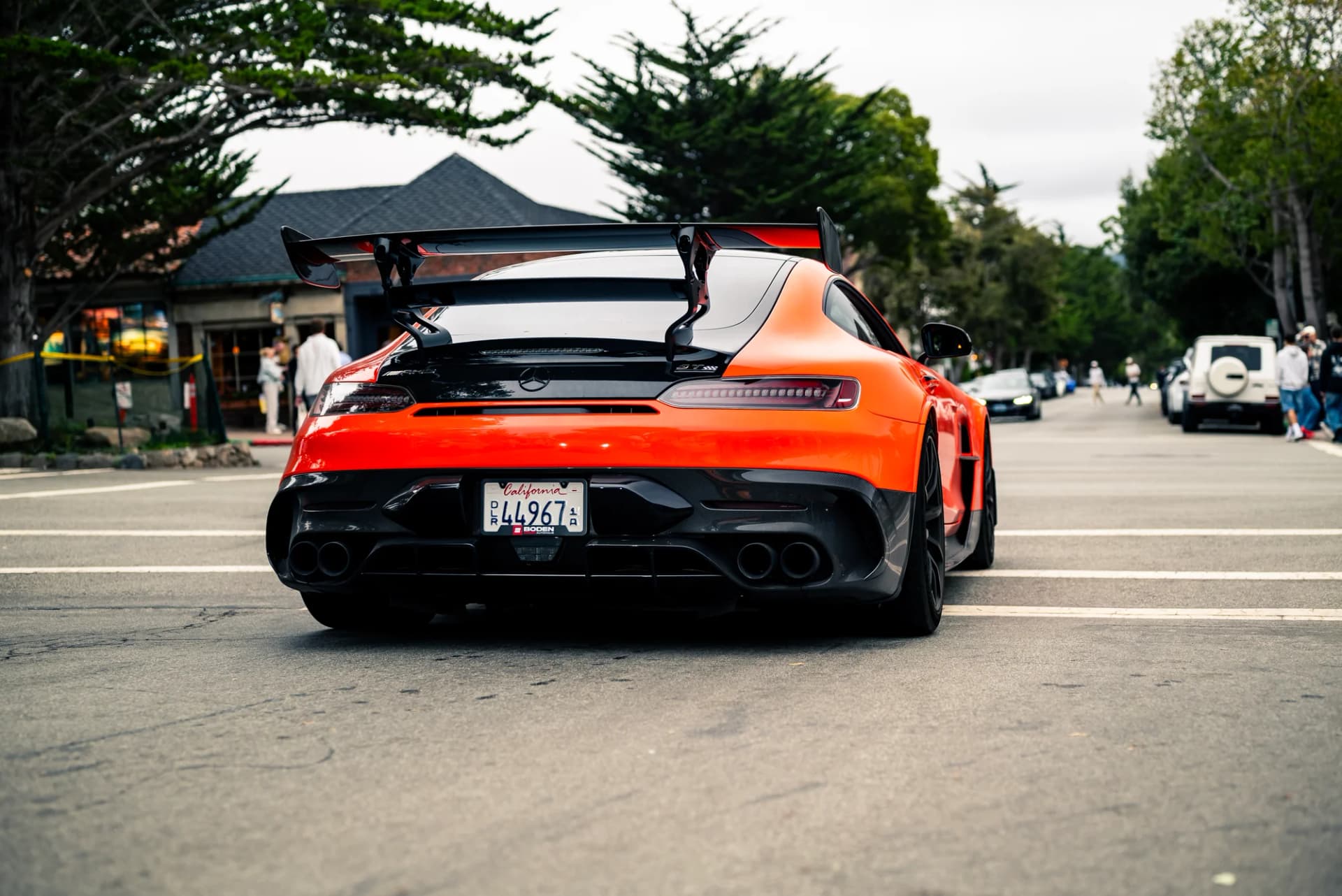 Viper - image 8