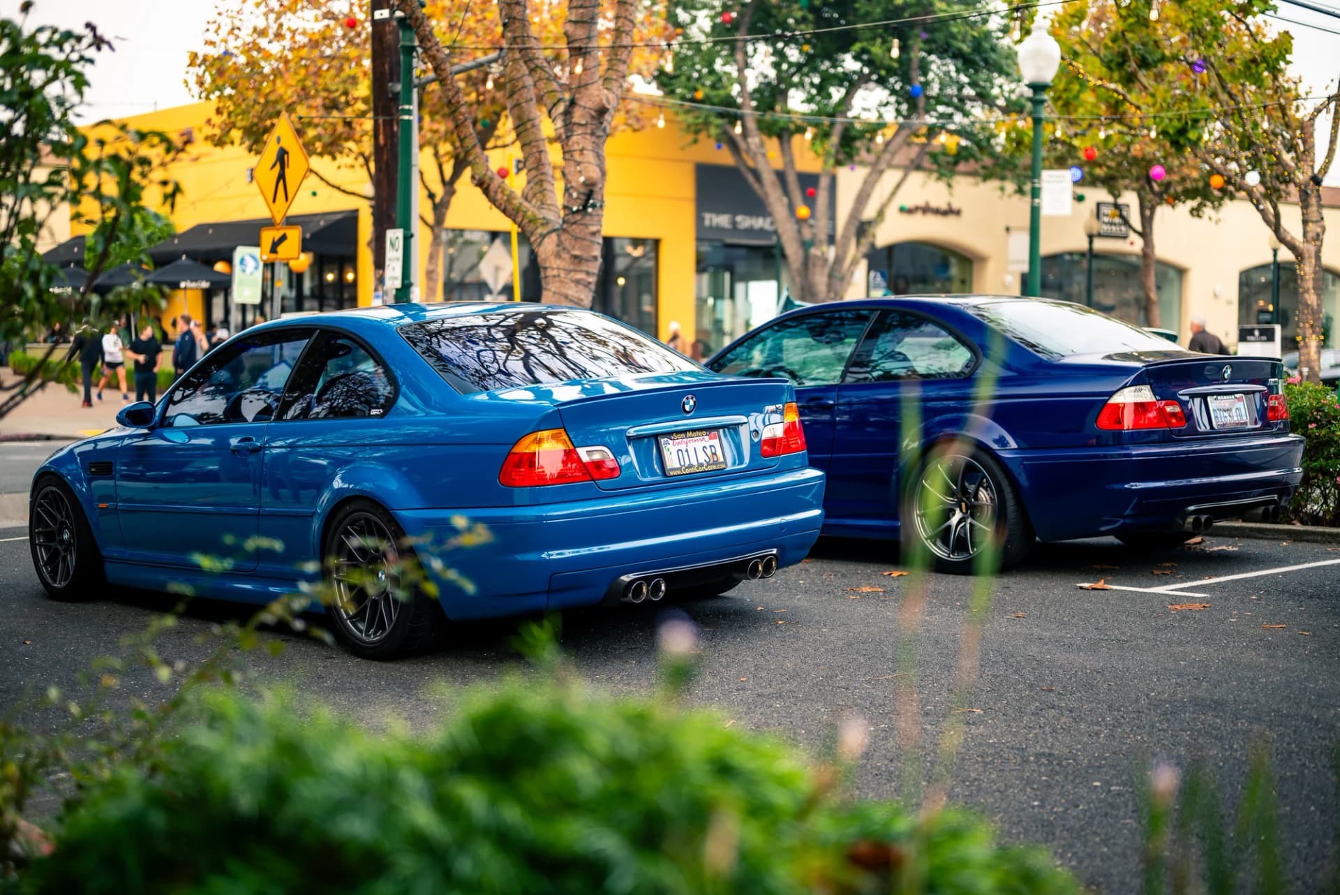 M3 Duo - image 4