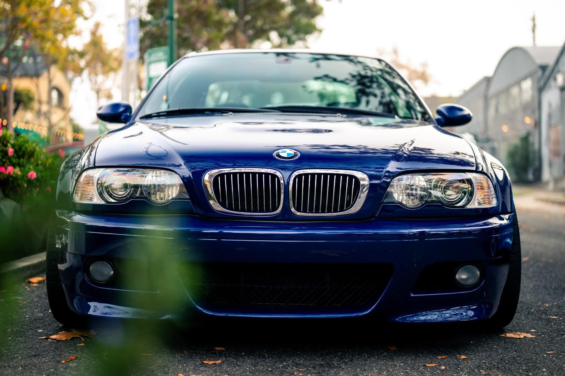 M3 Duo - image 7