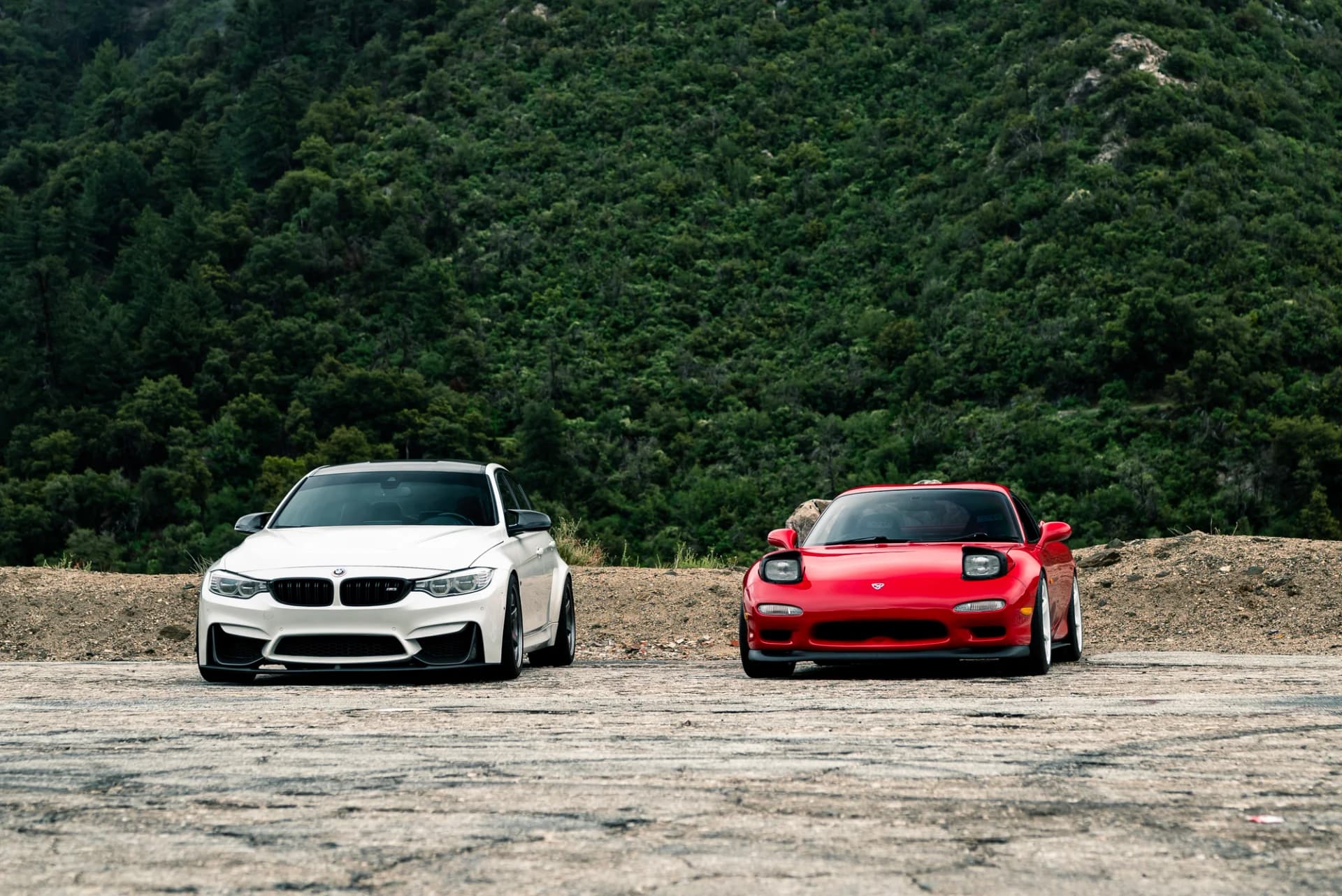 Foggy Angeles Crest - image 2