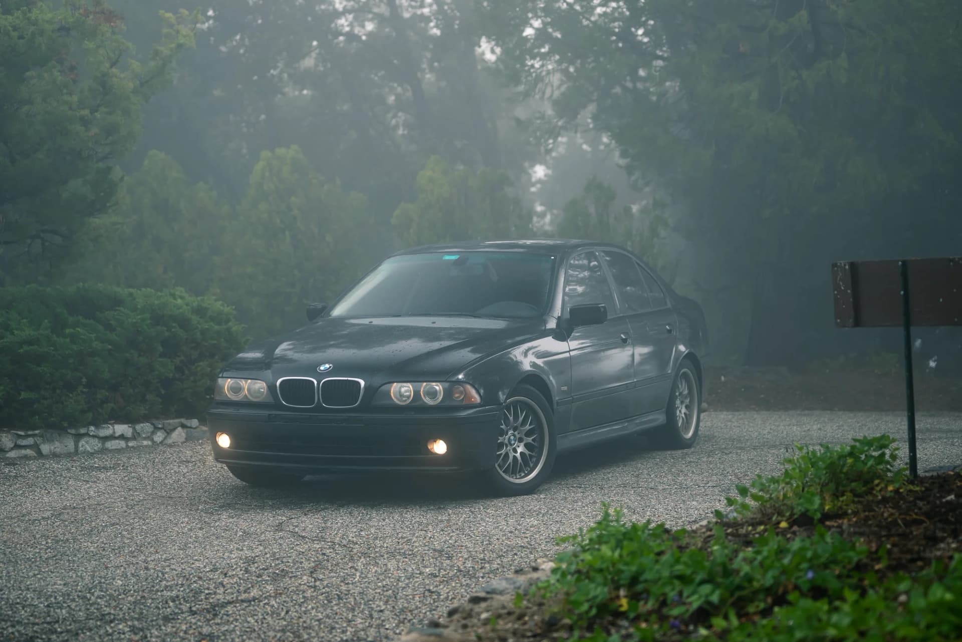 Foggy Angeles Crest - image 7