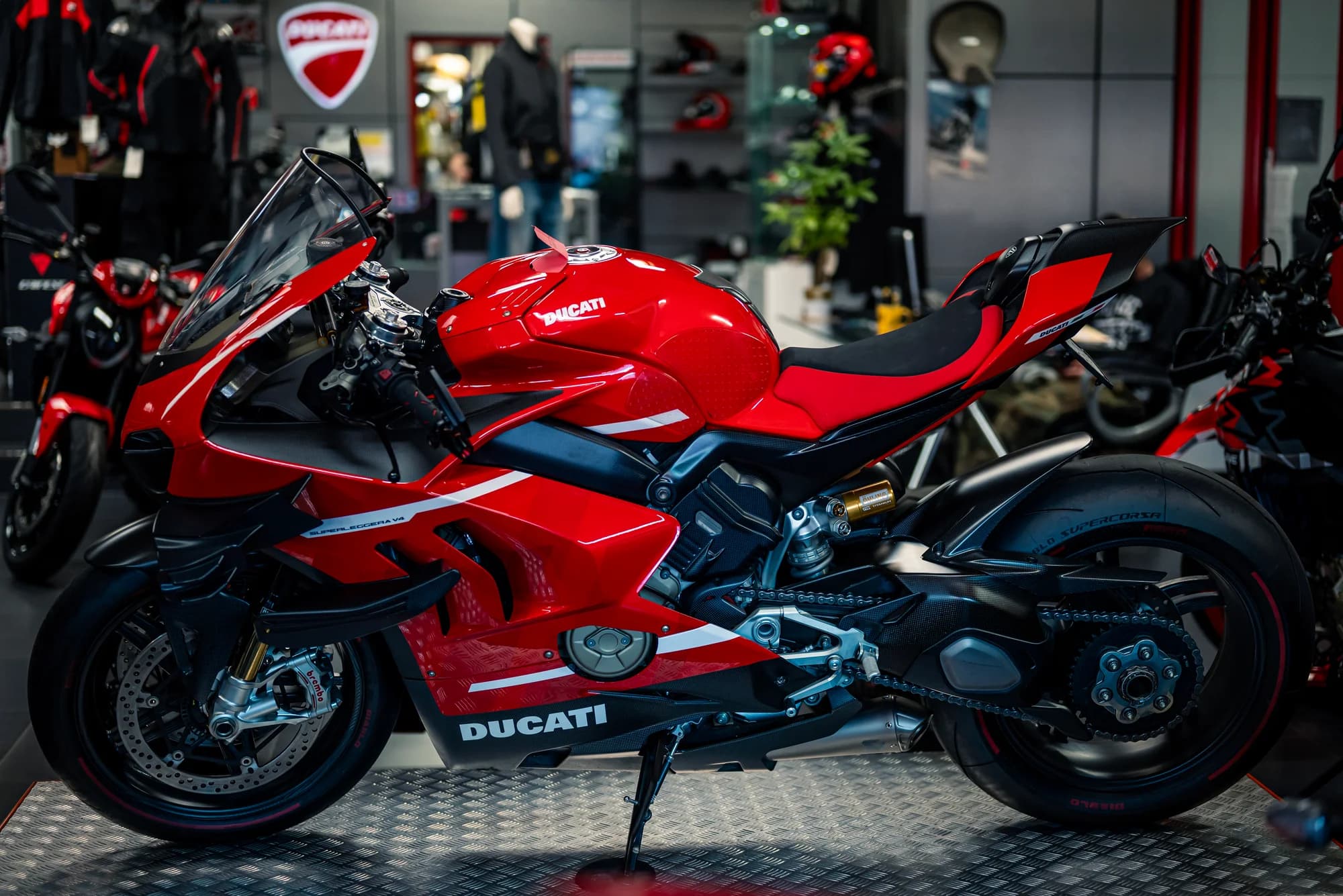 Motorsport Exotica - image 14