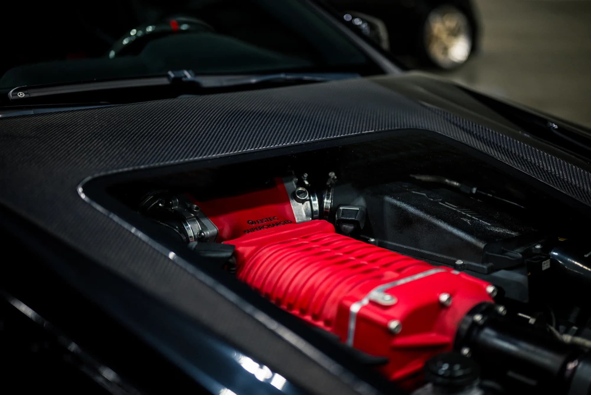 ImportExpo x CaliCreaming - image 52