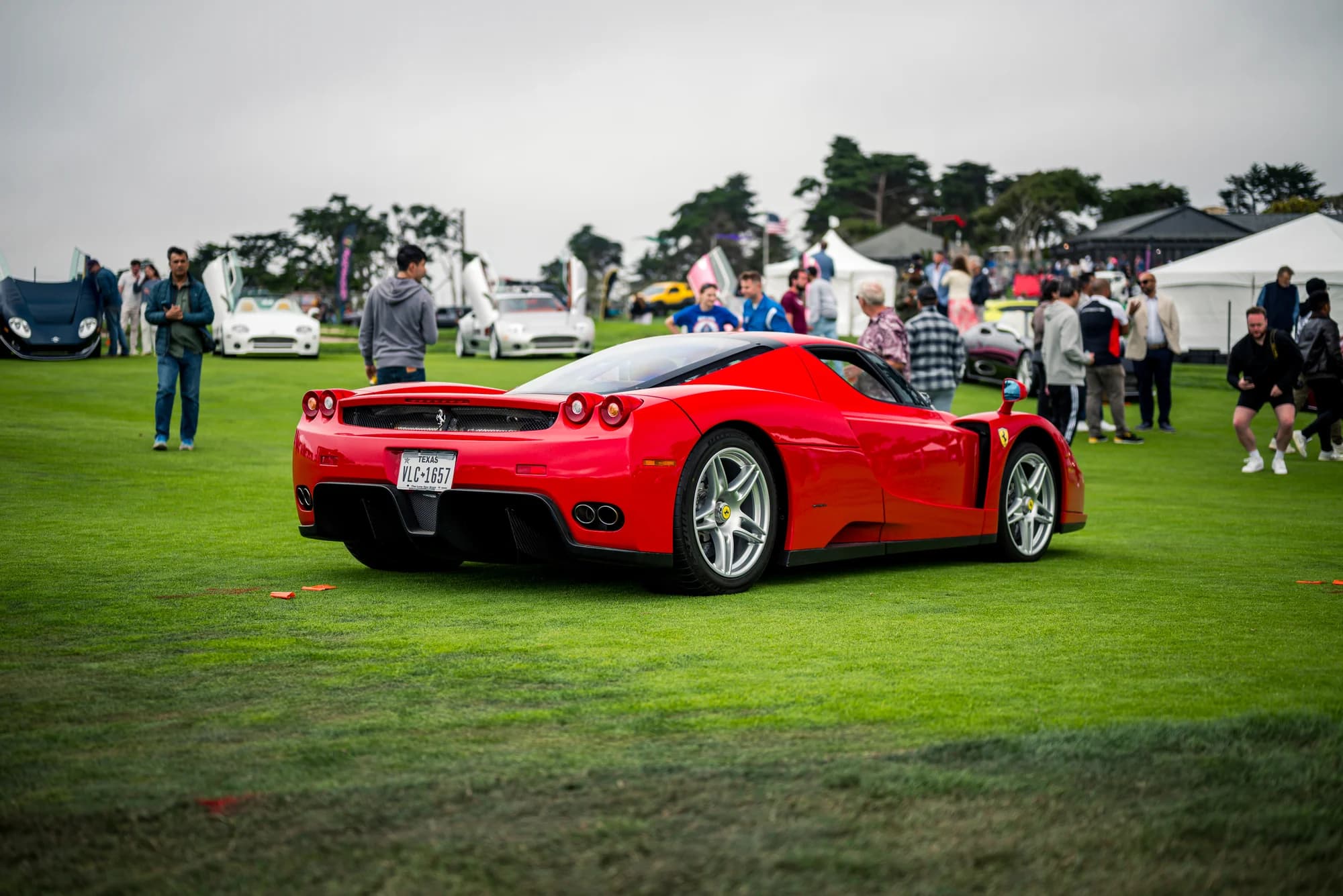 Ferrari Enzo - image 1