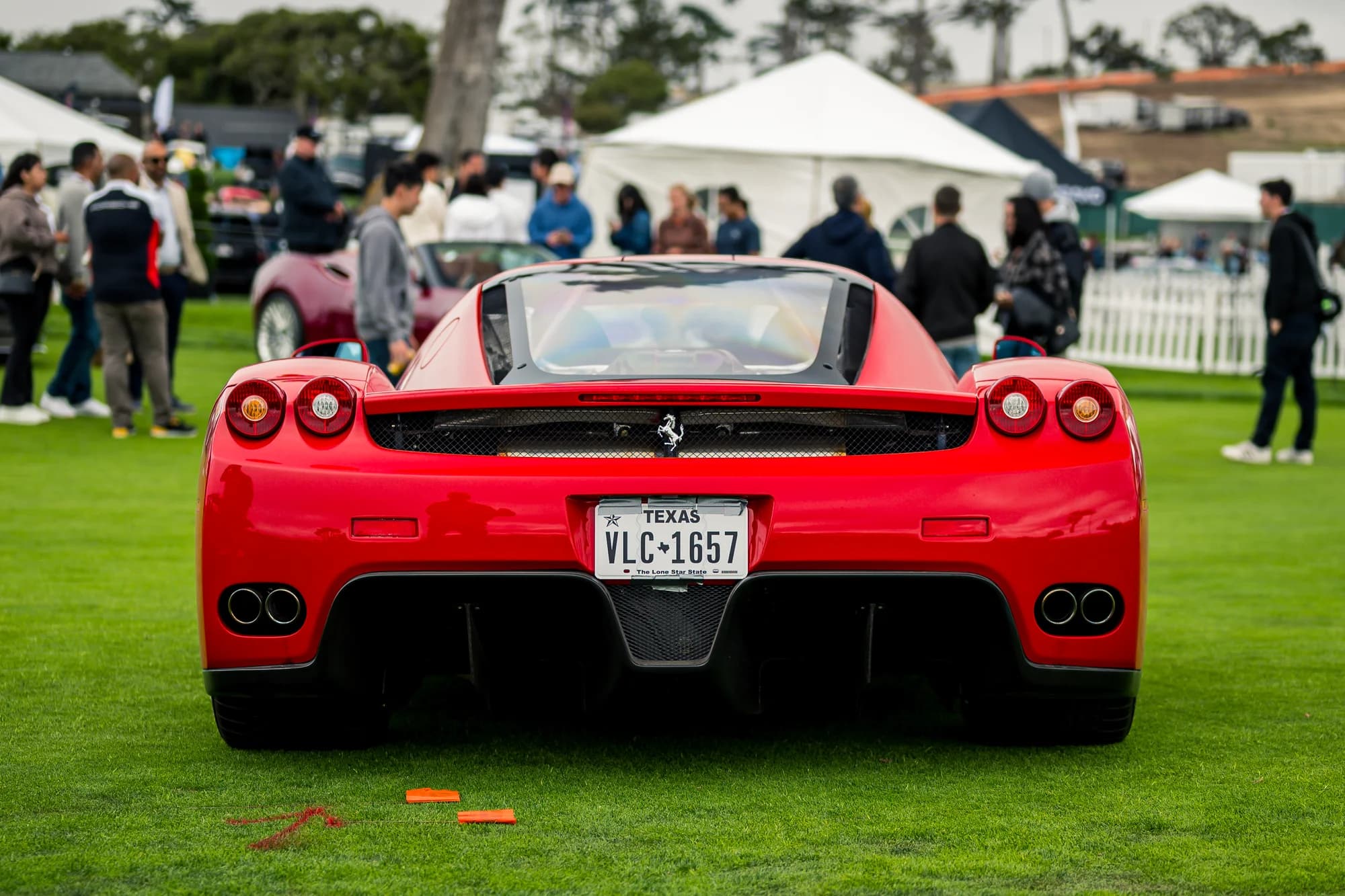 Ferrari Enzo - image 2