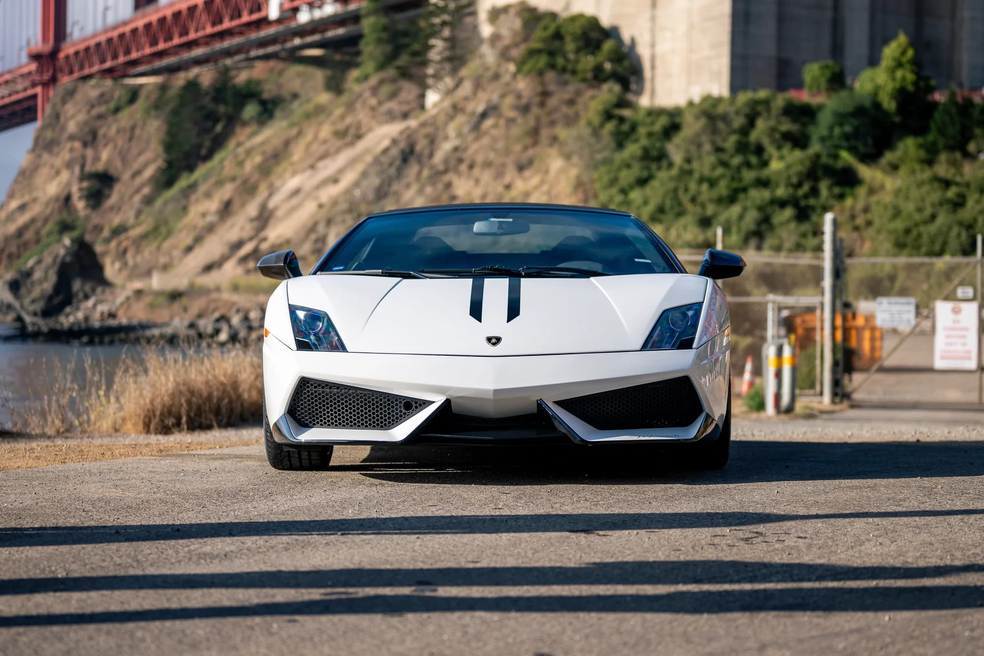 Gallardo Perfomante - image 10