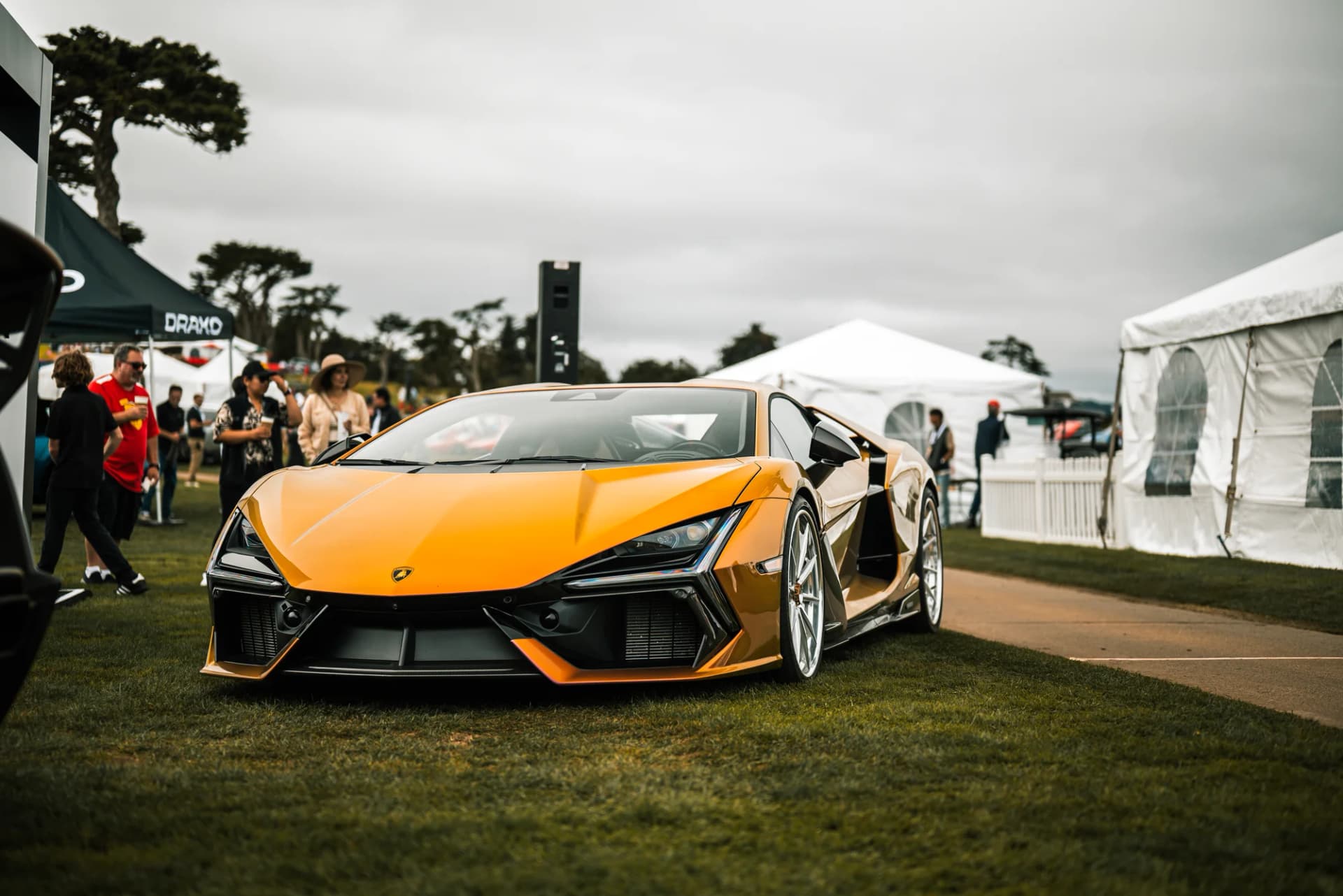 Vossen - image 1