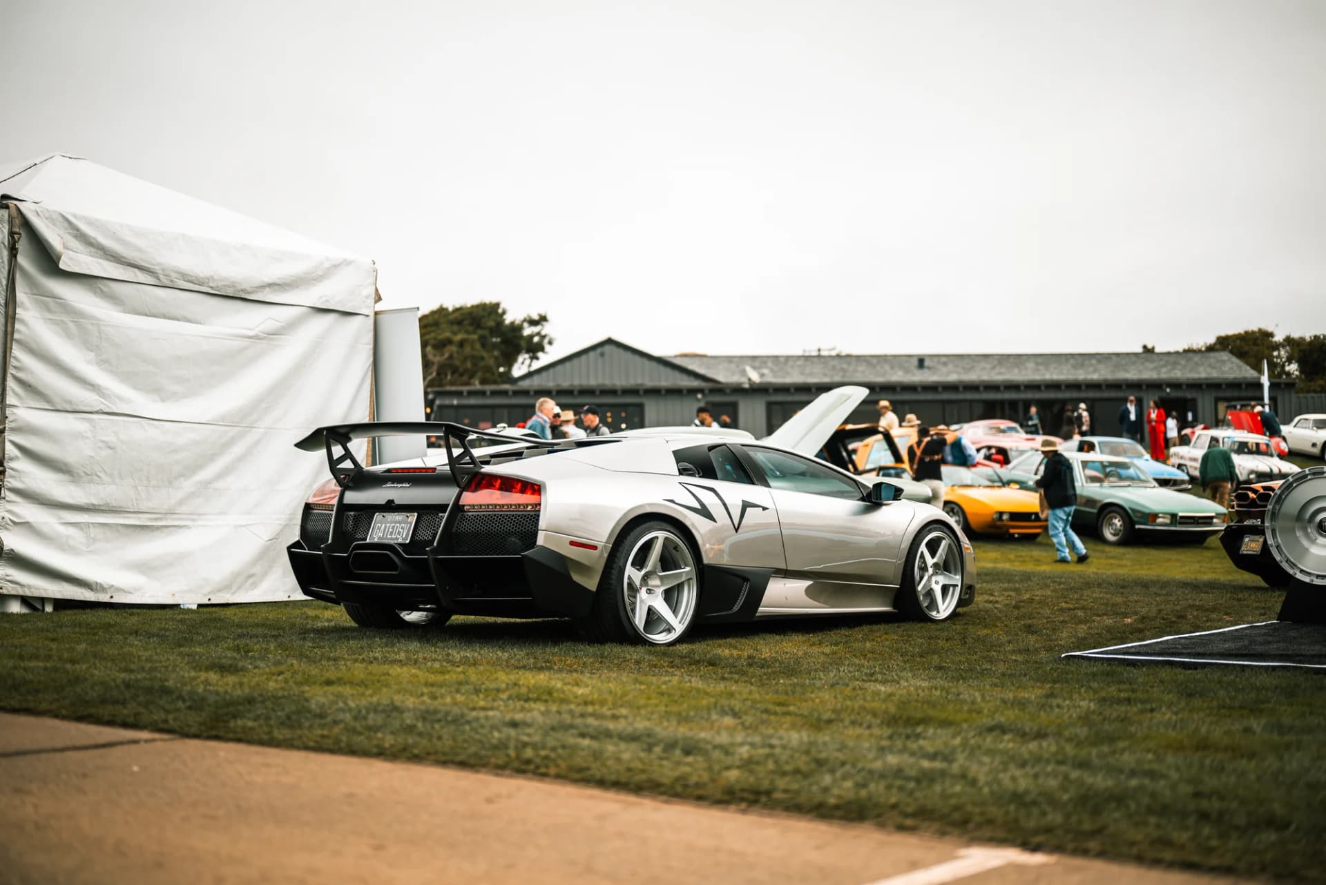 Vossen - image 2