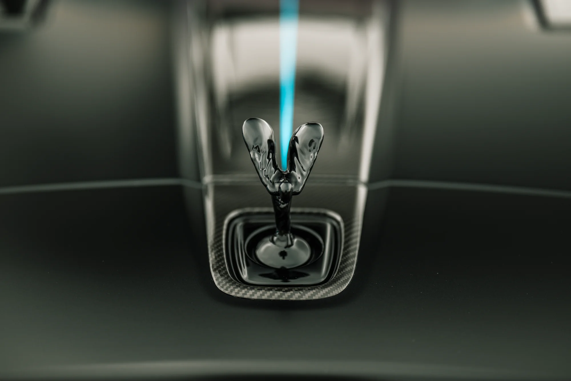 Vossen - image 11