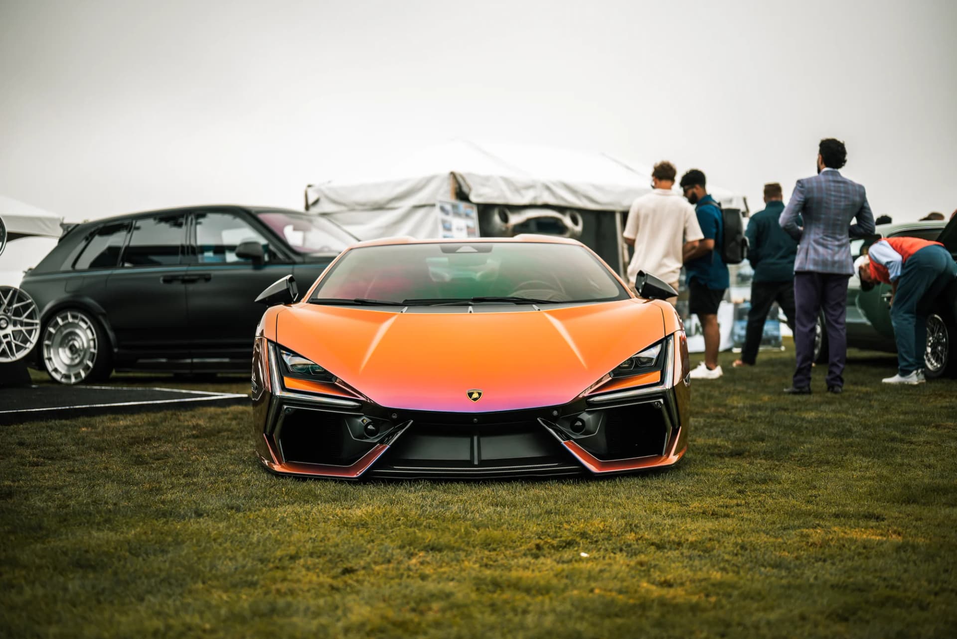 Vossen - image 16
