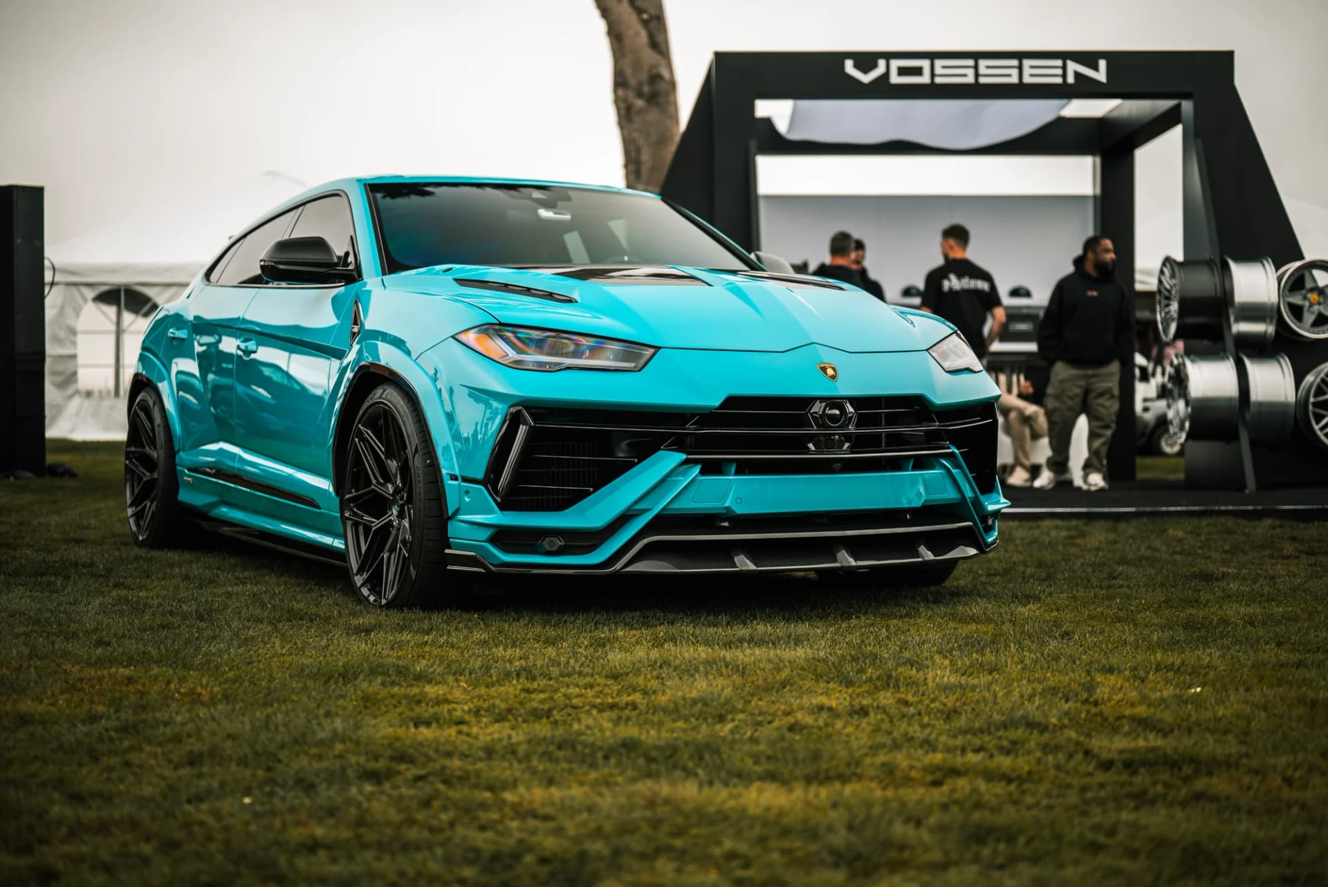 Vossen - image 17