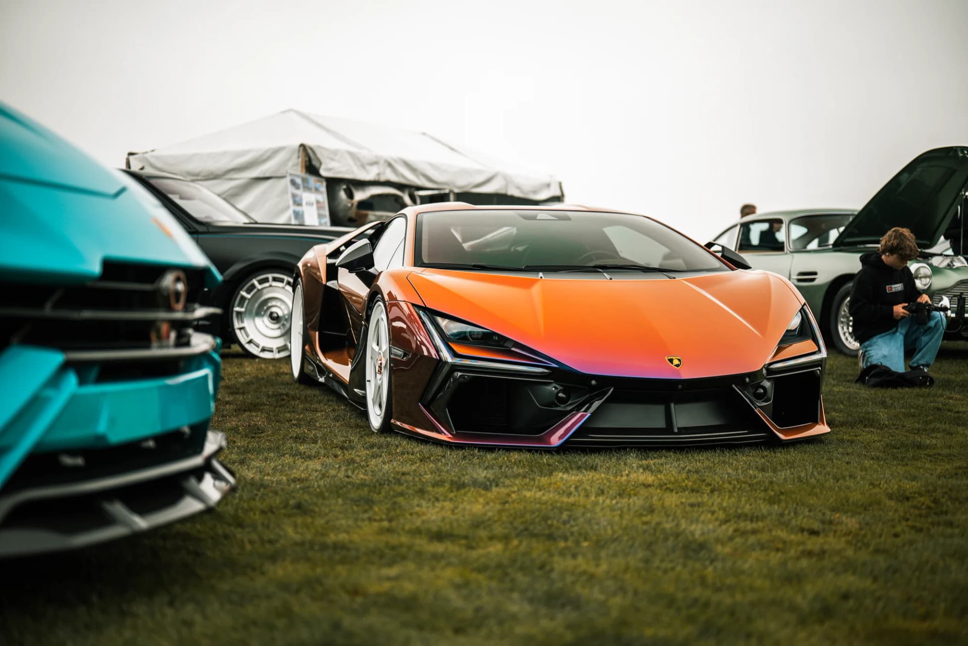 Vossen - image 18