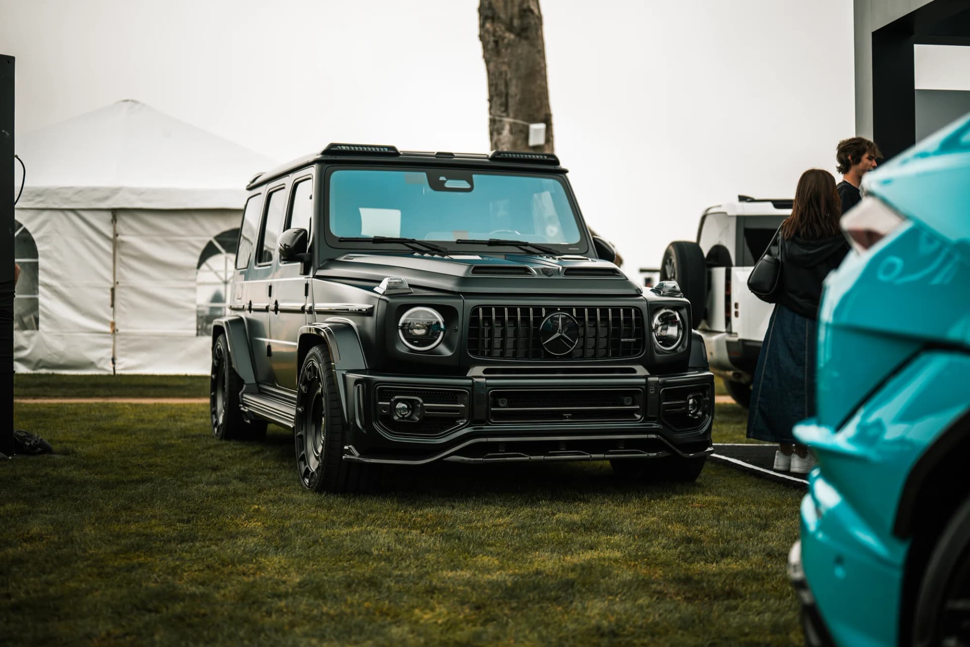 Vossen - image 19