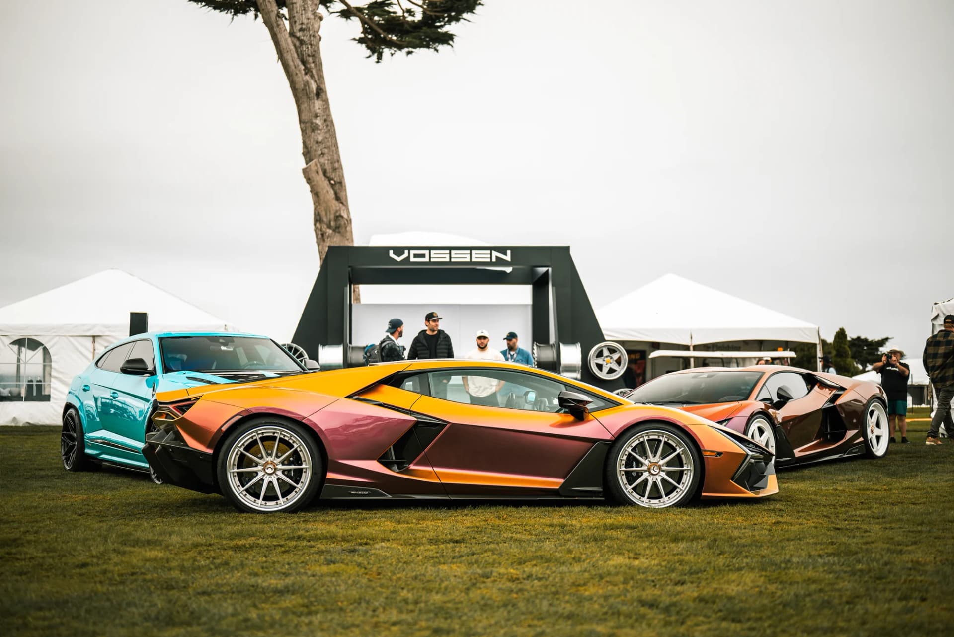 Vossen - image 22