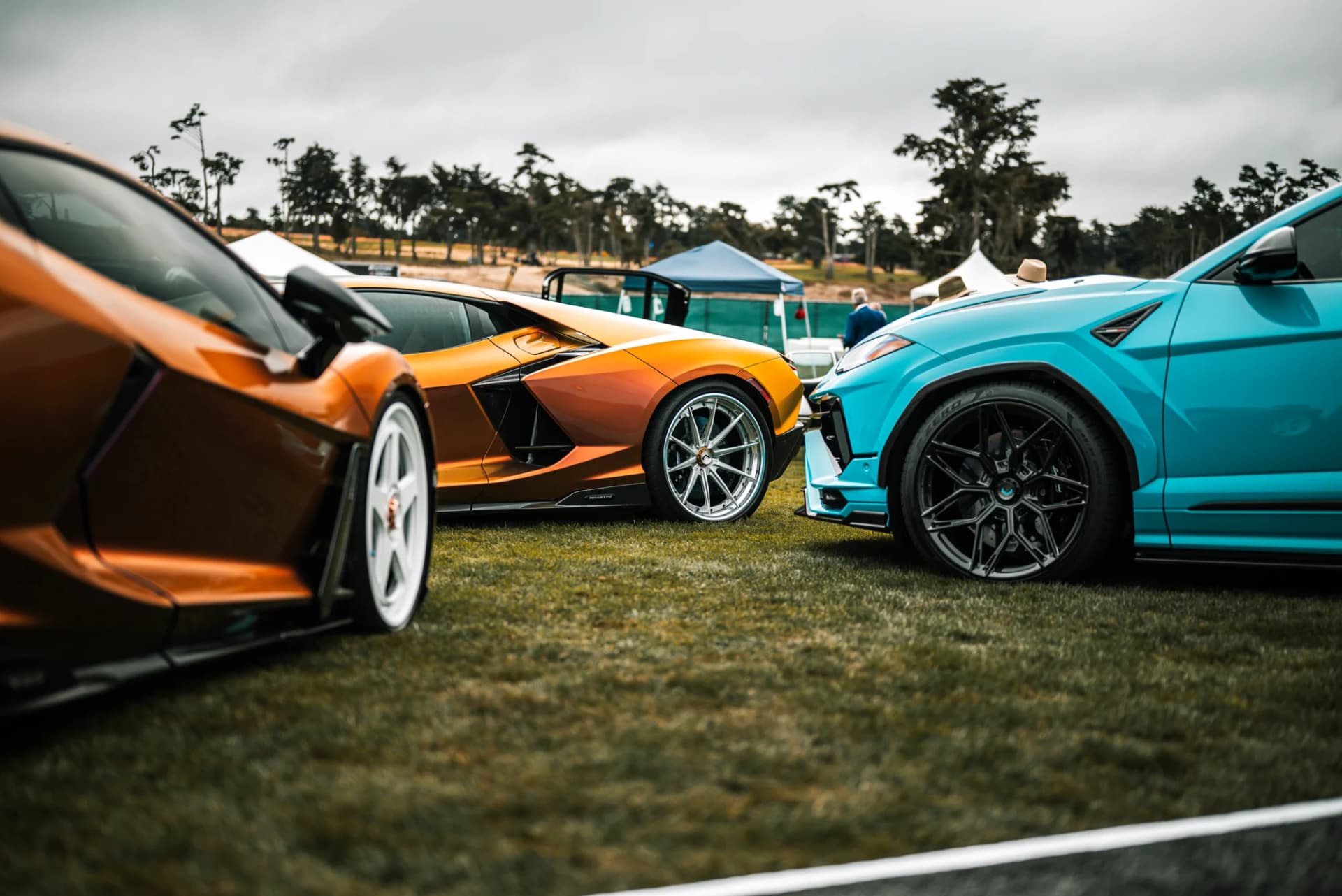 Vossen - image 4
