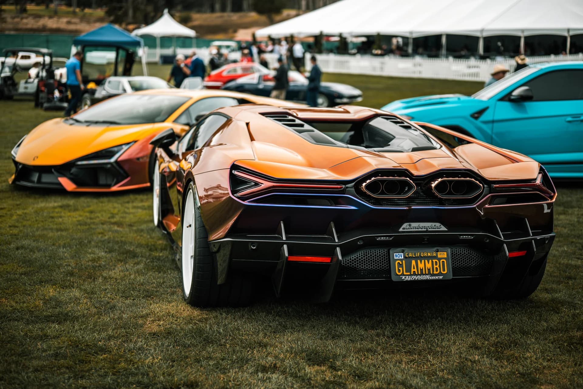 Vossen - image 5