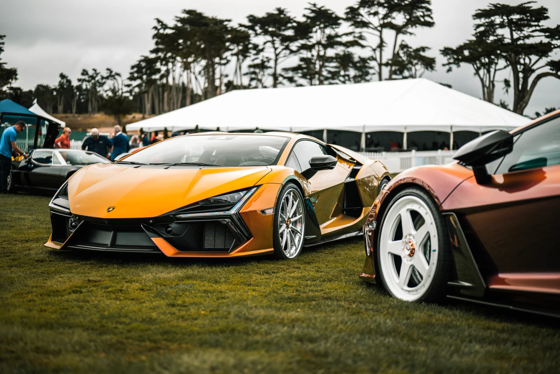 Vossen - image 6