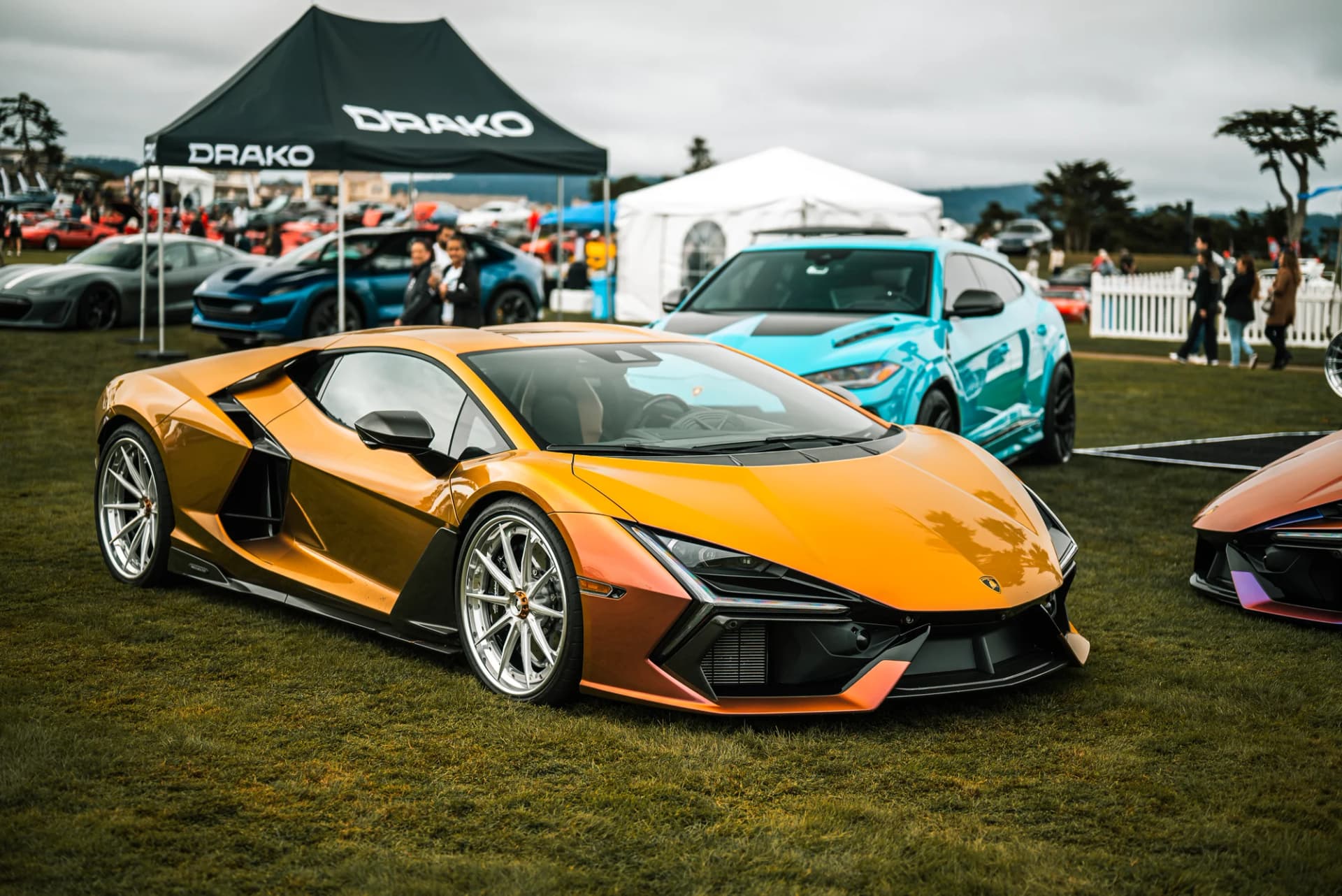 Vossen - image 7