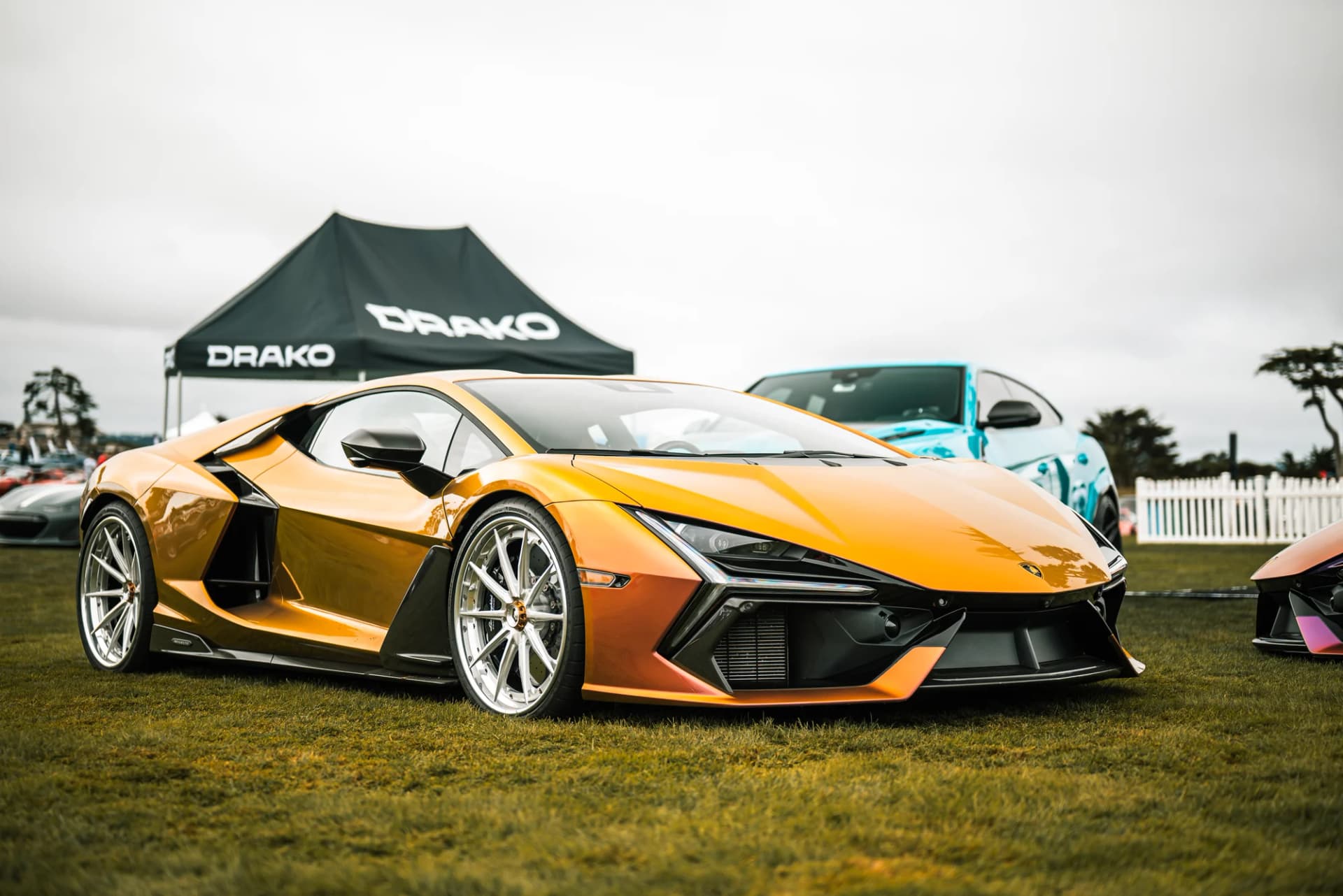 Vossen - image 8
