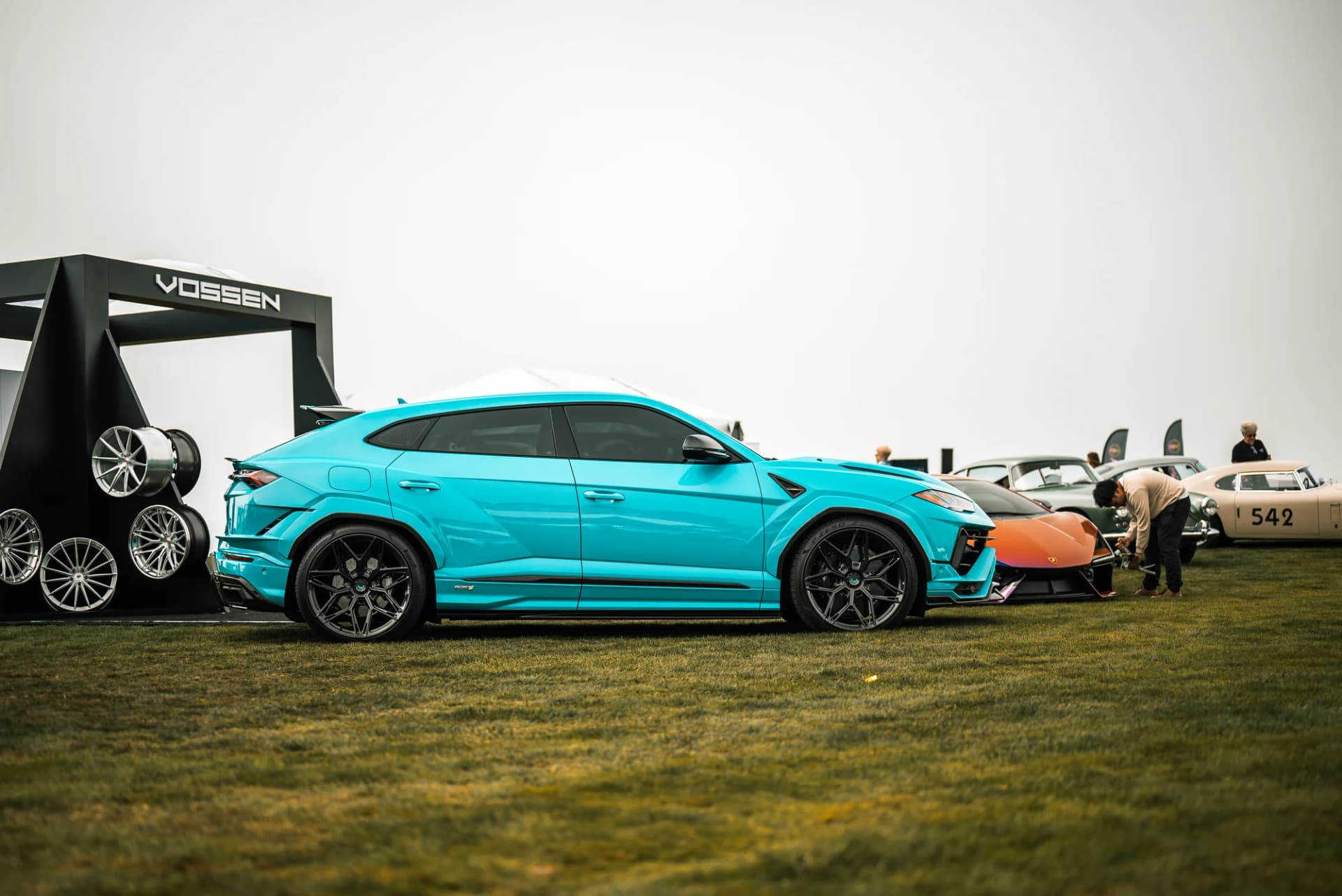 Vossen - image 9