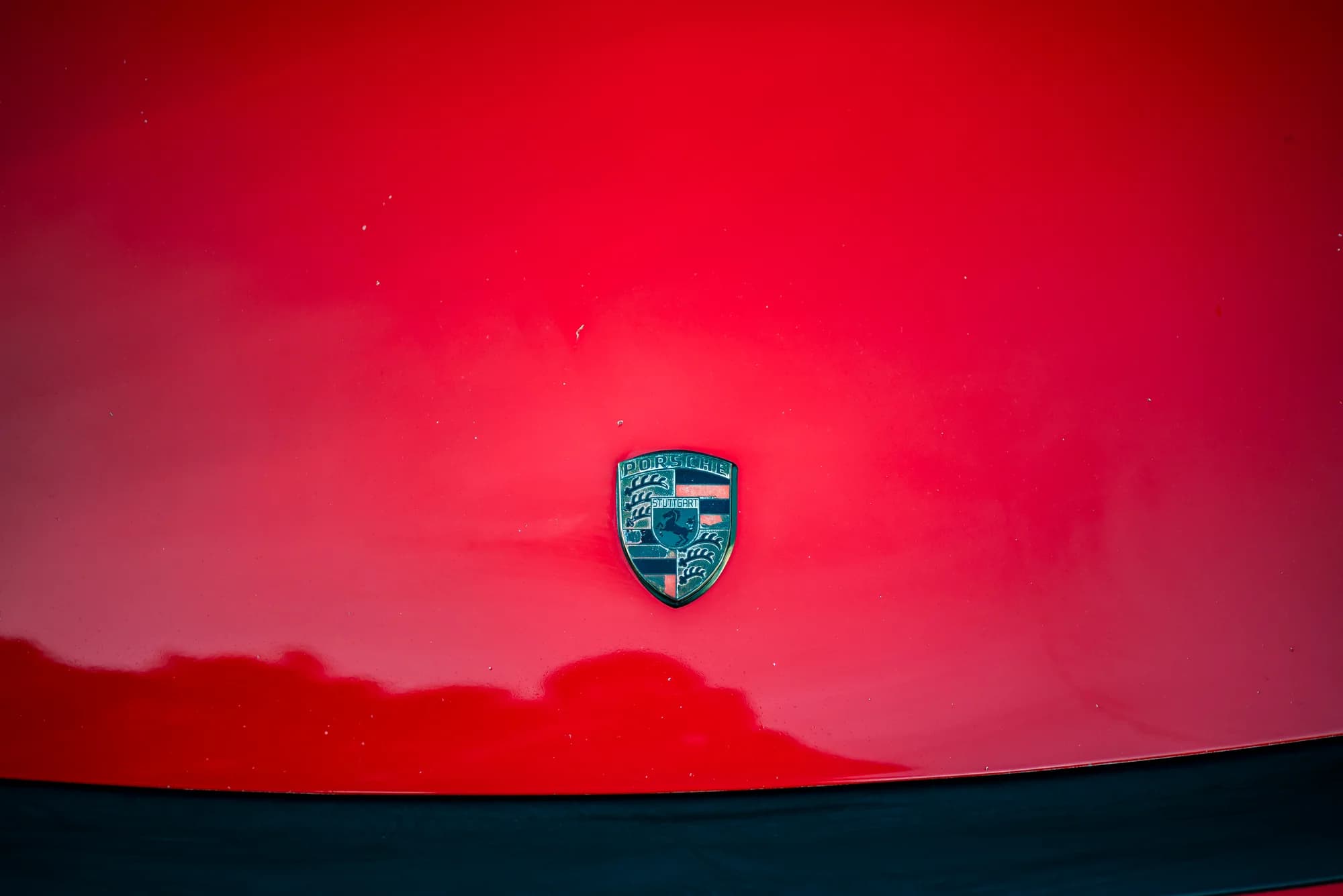 1985 Carrera - image 7