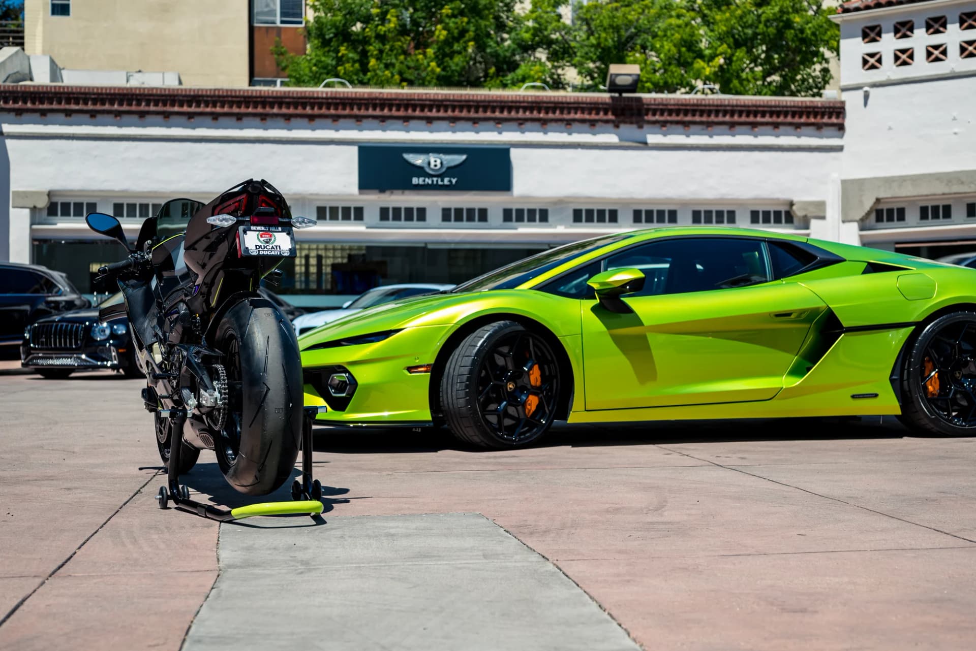 Green on green in Beverly Hills - image 6