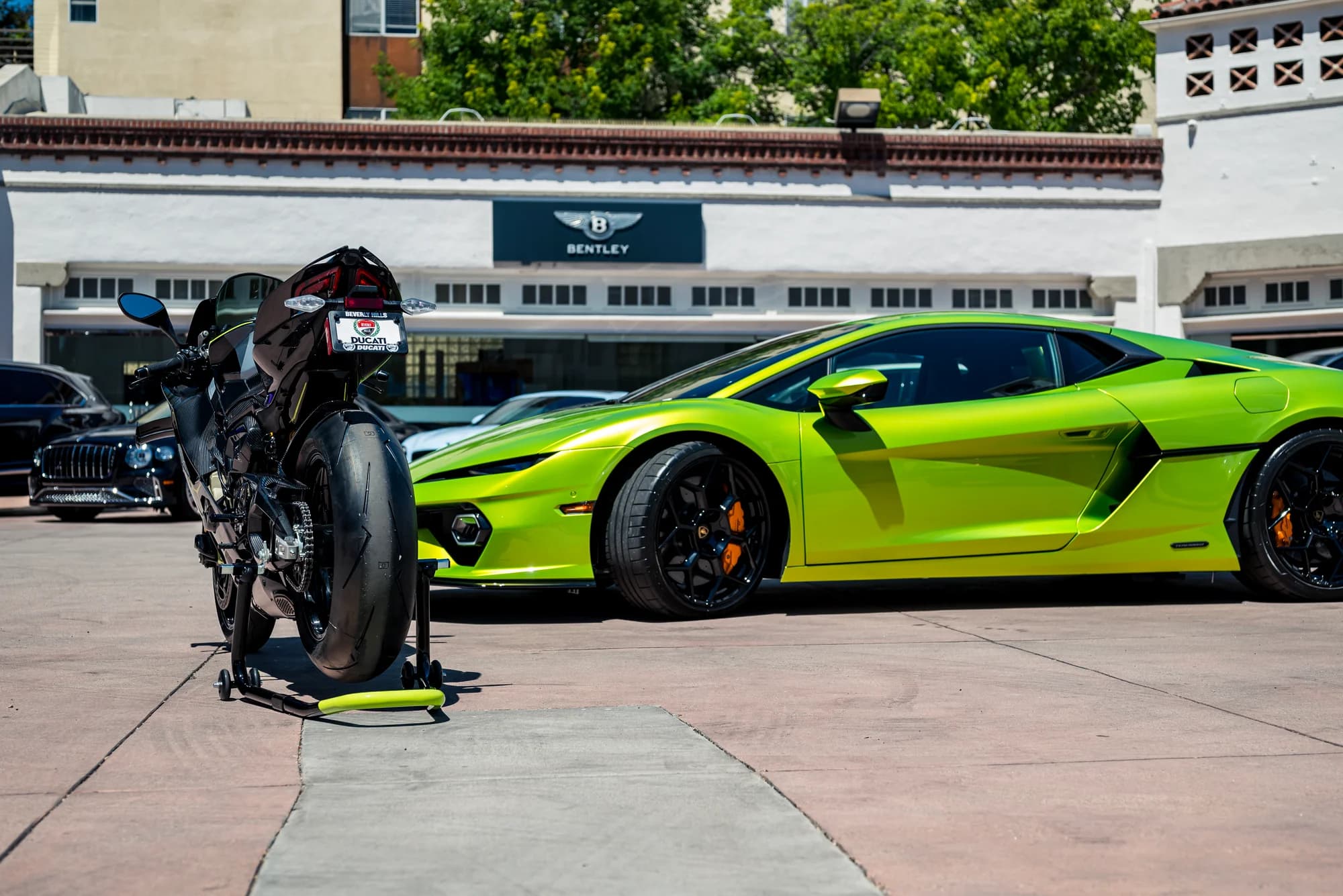 Green on green in Beverly Hills - image 6